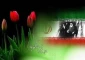 دهه فجر انقلاب اسلامی گرامی باد