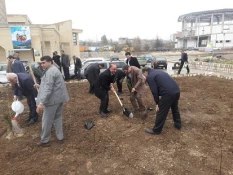 حضور مدیریت و کارکنان مرکز در مراسم هفته منابع طبیعی و غرس نهال در پارک موزه دفاع مقدس 11