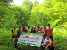 ورزش همگانی ، پیاده روی و جنگل نوردی