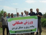 ورزش همگانی ، پیاده روی و جنگل نوردی