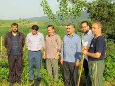 ورزش همگانی ، پیاده روی و جنگل نوردی