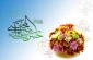 ولادت امام حسن مجتبی (ع) وروز اکرام گرامی باد.