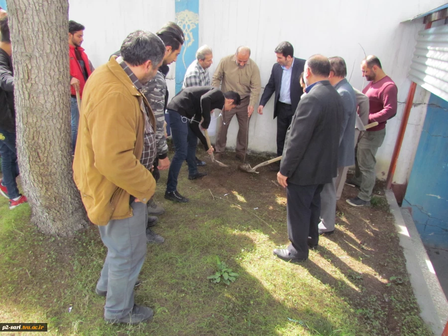 روز درختکاری 2