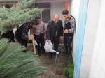 کاشت نهال به مناسبت روز درختکاری توسط ریاست ،کارکنان،اساتید ودانشجویان در محوطه آموزشکده فنی شماره2ساری 4